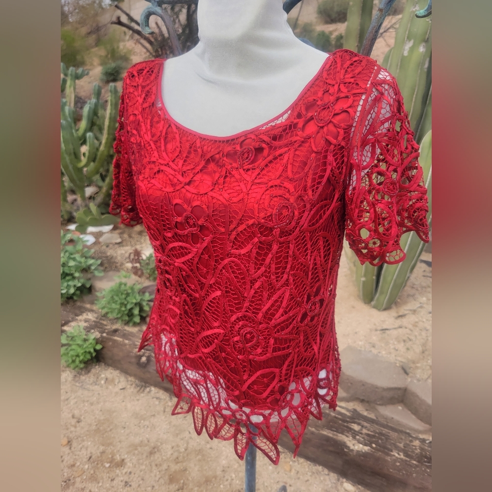 Silk Beaded & Laced Red Blouse
